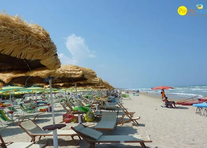 Gemma 2 - ピネート